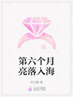 第六个月亮落入海在线阅读