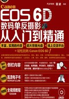 Canon EOS 6D数码单反摄影从入门到精通（超值版）