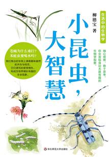 小昆蟲，大智慧