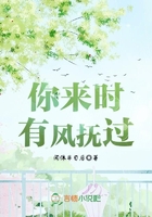 你來(lái)時(shí)，有風(fēng)撫過(guò)在線閱讀