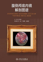 腹侧颅底内镜解剖图谱在线阅读