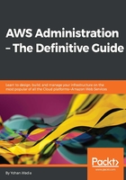 AWS Administration：The Definitive Guide在线阅读