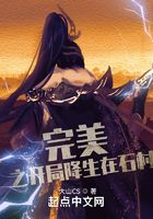 完美之开局降生在石村