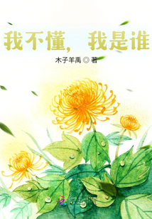 我不懂，我是誰