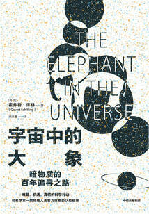 宇宙中的大象