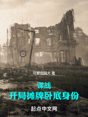 谍战:开局摊牌卧底身份在线阅读