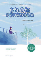 青少年校园美文精品集萃丛书·少年的你系列:少年的你是岁月最好的礼物在线阅读