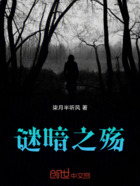 谜暗之殇在线阅读