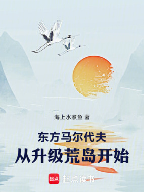东方马尔代夫，从升级荒岛开始在线阅读