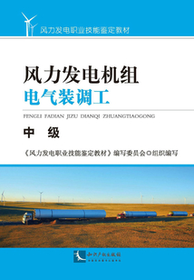 風力發(fā)電機組電氣裝調工：中級
