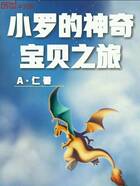 小罗的神奇宝贝之旅在线阅读