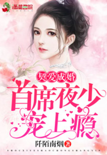 契愛成婚:首席夜少寵上癮