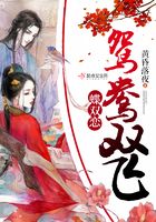 鴛鴦雙飛蝶雙戀在線閱讀