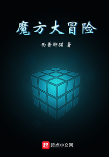 魔方大冒險(xiǎn)