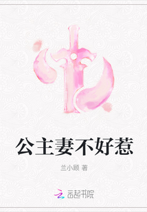 公主妻不好惹