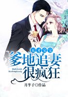 天才宝宝:爹地追妻很疯狂