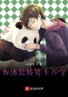 为渣蕊统筹十万字