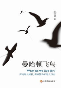 曼哈頓飛鳥