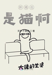胖橘也是貓啊！