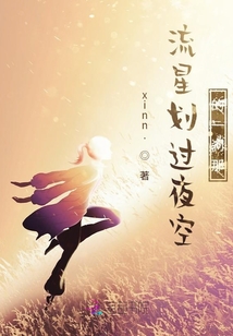 流星劃過夜空一剎那