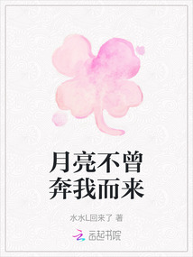 月亮不曾奔我而來