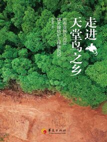 走进天堂鸟之乡:巴布亚新几内亚瑞木镍钴矿工程亲历记