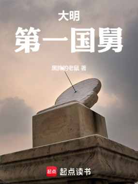 大明第一国舅在线阅读