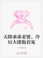 天降乖乖老婆,冷厉大佬抱着宠在线阅读