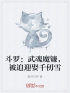 斗罗:武魂魔镰,被迫迎娶千仞雪在线阅读