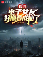 我的电子女友好像要成仙了在线阅读