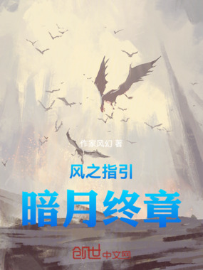风之指引暗月终章在线阅读