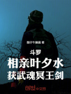 斗罗：相亲叶夕水，获武魂冥王剑在线阅读