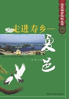 走进寿乡：夏邑