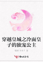 穿越皇城之冷面皇子的獨寵公主在線閱讀