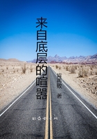 來自底層的喧囂在線閱讀