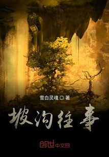 坡溝往事