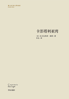 卡彭塔利亞灣在線閱讀