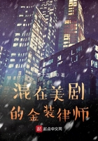 混在美剧的金装律师在线阅读