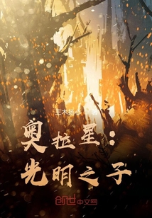 奧拉星：光明之子