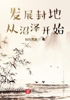 发展封地从沼泽开始在线阅读
