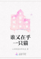 誰又在乎一只貓在線閱讀
