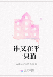 誰又在乎一只貓