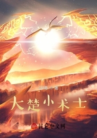 大楚小術(shù)士在線閱讀