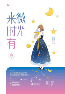 來時有微光