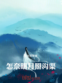 怎奈明月照溝渠