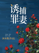 诱捕罪妻在线阅读