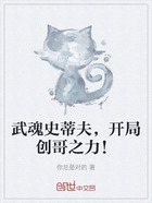武魂史蒂夫,开局创哥之力!在线阅读