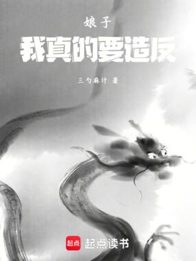 娘子,我真的要造反!在线阅读