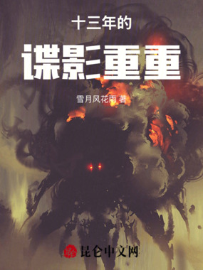 十三年的谍影重重在线阅读