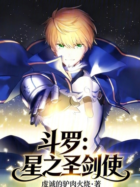 斗罗:星之圣剑使在线阅读